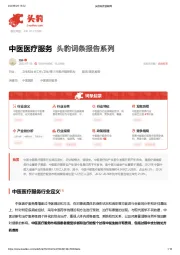 中医医疗服务 头豹词条报告系列