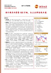 汽车行业周报：预计乘用车零售185万辆，自主品牌惊艳车展