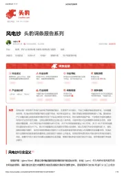 风电纱 头豹词条报告系列