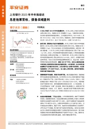 上市银行2023年半年报综述：息差拖累营收，拨备反哺盈利