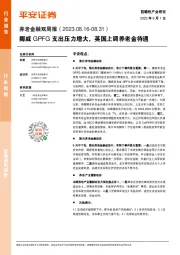 养老金融双周报：挪威GPFG支出压力增大，英国上调养老金待遇