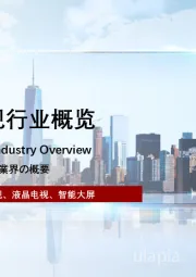 2023年中国智能电视行业概览