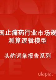 中国止痛药行业市场规模测算逻辑模型 头豹词条报告系列