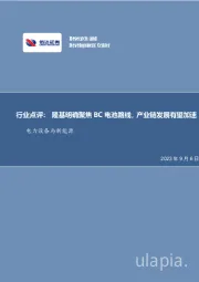 电力设备与新能源行业点评：隆基明确聚焦BC电池路线，产业链发展有望加速
