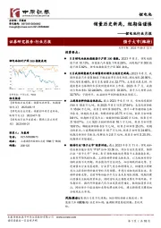 锂电池行业月报：销量历史新高，短期偏谨慎