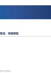 新能源行业月报M9：信心筑底、未来可期，心中有光、举重若氢