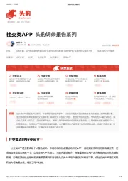 社交类APP 头豹词条报告系列