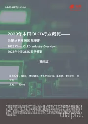 2023年中国OLED行业概览—— 关键材料突破国际垄断（摘要版）
