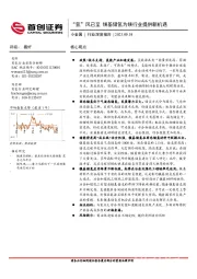 小金属行业深度报告：“氢”风已至 镁基储氢为镁行业提供新机遇