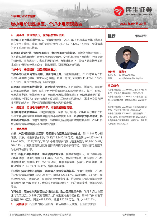 小家电行业动态报告：厨小电阶段性承压，个护小电表现靓丽