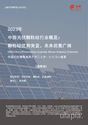2023年中国光伏颗粒硅行业概览：颗粒硅优势突显，未来前景广阔（摘要版）