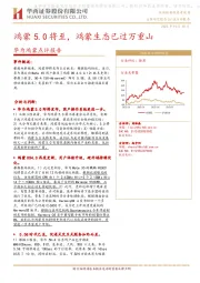 华为鸿蒙点评报告：鸿蒙5.0将至，鸿蒙生态已过万重山