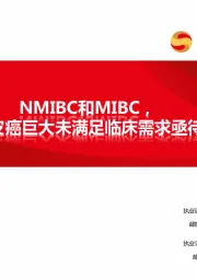 医药行业：NMIBC和MIBC，尿路上皮癌巨大未满足临床需求亟待解决