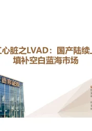 人工心脏之LVAD：国产陆续上市填补空白蓝海市场