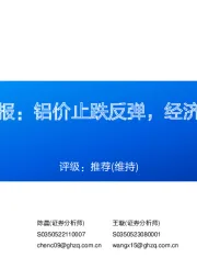 铝行业周报：铝价止跌反弹，经济数据回暖