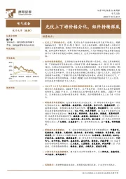 电气设备行业周报：光伏上下游价格分化，组件持续探底