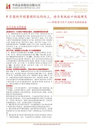 新能源汽车产业链月度跟踪报告:9月国内外销量同环比均向上,动力电池出口快速增长