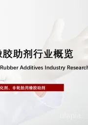 2023年全球及中国橡胶助剂行业概览