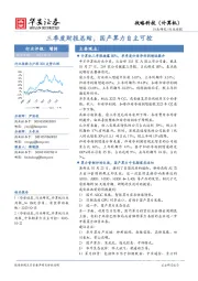 战略科技（计算机）行业周报：三季度财报总结，国产算力自主可控