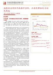 有色-基本金属行业周报:地缘政治风险仍在推升金价,云南电解铝电力担忧再起
