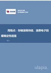 电子周观点：存储涨释持续，消费电子回暖确定性趋强