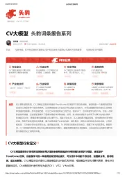 CV大模型 头豹词条报告系列