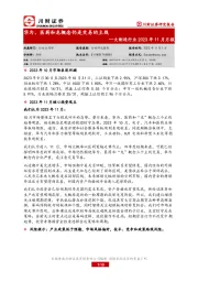 大制造行业2023年11月月报：华为、医药和龙概念仍是交易的主线