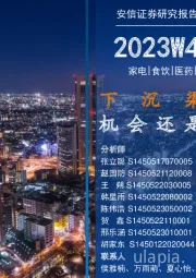 安信消费一周看图2023W44:下沉渠道:机会还是风险?