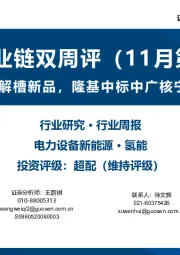 氢能产业链双周评(11月第1期):双良发布碱性电解槽新品,隆基中标中广核宁东制氢设备项目
