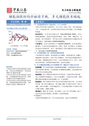 电力设备与新能源行业周报：储能招投标均价继续下跌，多元储能技术崛起