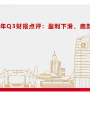 【电新之材系列1】锂电材料行业2023年Q3财报点评：盈利下滑，底部渐显