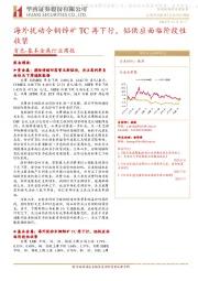有色-基本金属行业周报:海外扰动令铜锌矿TC再下行,铝供应面临阶段性收紧