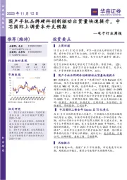 电子行业周报：国产手机品牌硬件创新驱动出货量快速提升，中芯国际上调资本开支预期