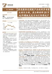 化工新材料行业周报：鼎龙股份光刻胶产品收到多项重大项目立项，其正新材料20万吨/年膜级尼龙6切片即将试产