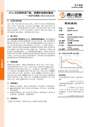 光伏行业周报：EVA光伏料快速下跌，胶膜价格接近触底