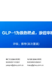 减重药深度报告：GLP-1为最热靶点，渗透率和适应症空间广阔