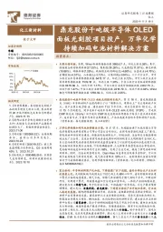 化工新材料行业周报：鼎龙股份千吨级半导体OLED面板光刻胶项目投产，万华化学持续加码电池材料解决方案