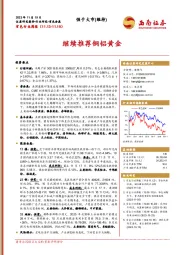 有色行业周报：继续推荐铜铝黄金
