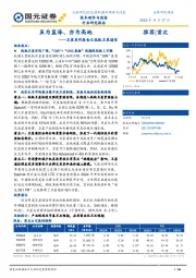 技术硬件与设备：卫星系列报告之低轨卫星通信-虽为蓝海、亦为高地