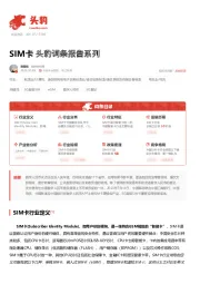 SIM卡 头豹词条报告系列