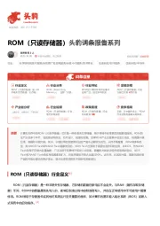 ROM（只读存储器） 头豹词条报告系列