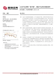 电力设备行业简评报告：光伏产业周期“再平衡”，储能产业利好政策频传