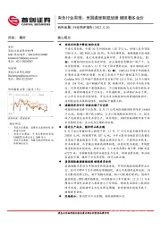 有色行业周报：美国通胀数据放缓 继续看多金价