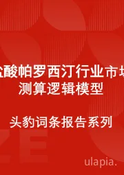 中国盐酸帕罗西汀行业市场规模测算逻辑模型 头豹词条报告系列