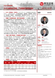 OLED行业深度报告：OLED黄金时代开启，产业链国产替代正当时