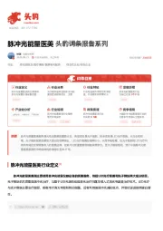 脉冲光能量医美 头豹词条报告系列
