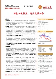 有色行业周报：锂盐加速探底，关注反弹机会