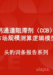 中国钙通道阻滞剂（CCB）行业市场规模测算逻辑模型 头豹词条报告系列