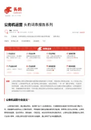 公务机运营 头豹词条报告系列