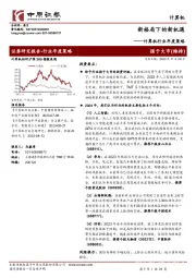 计算机行业年度策略：新格局下的新机遇